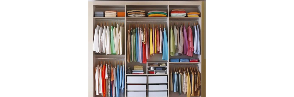 Profissional organizer